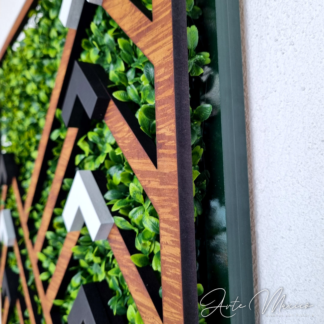 Set Montañas Nativas EcoGreen