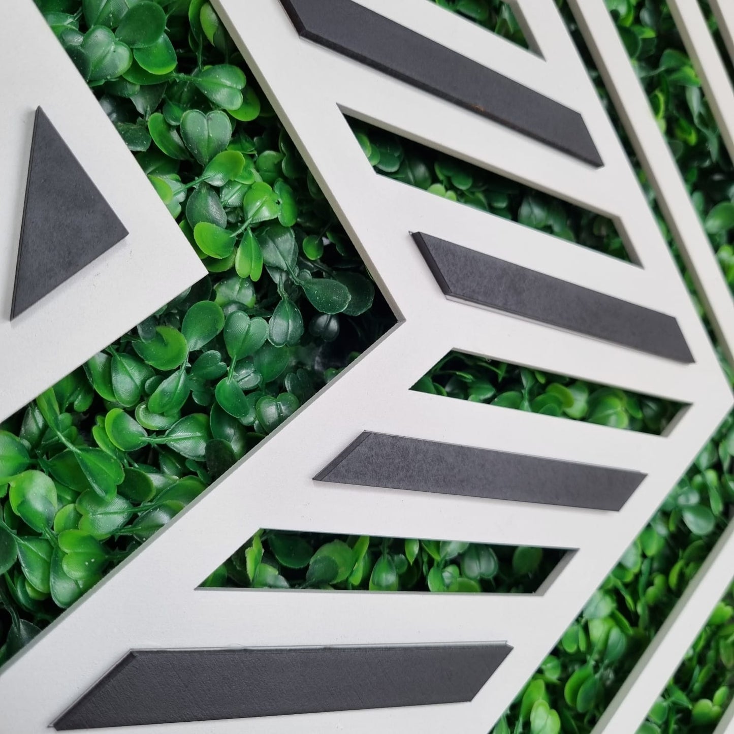 Set Black & White EcoGreen