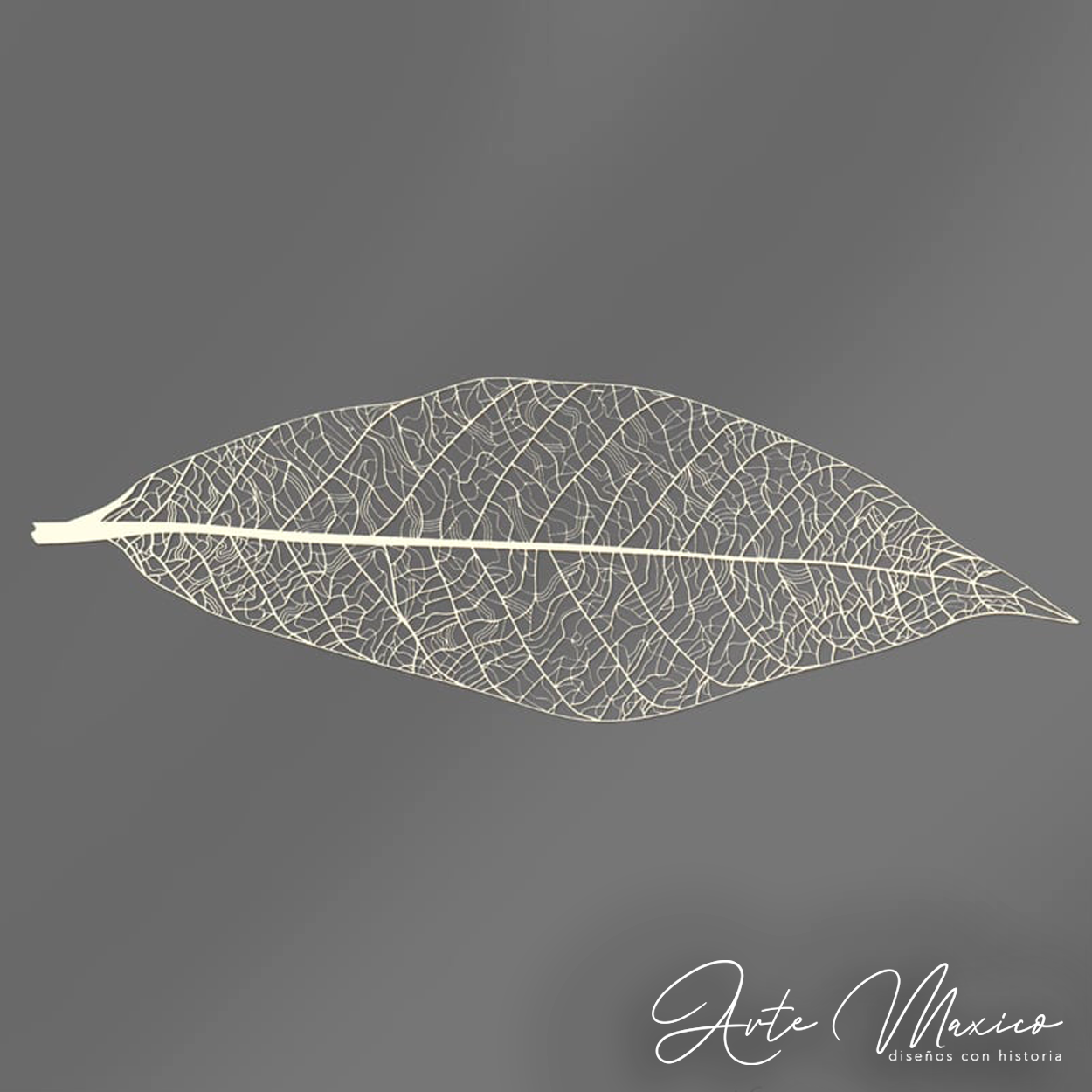 Hoja de Cacao