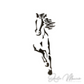 Caballo