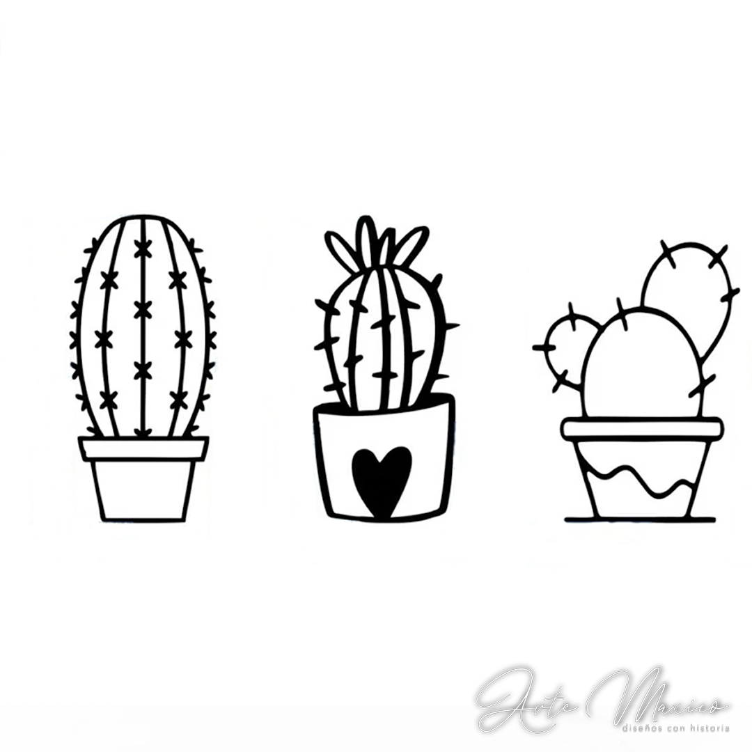 Macetas Cactus