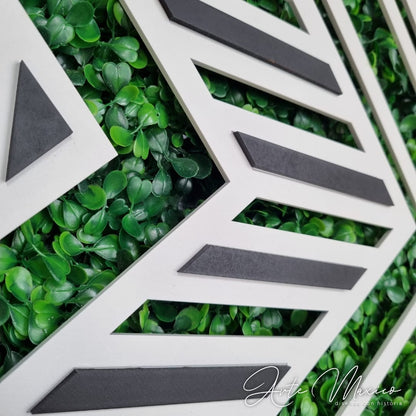 Set Black & White EcoGreen